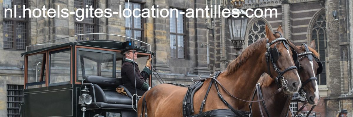nl.hotels-gites-location-antilles.com
